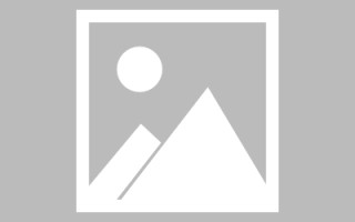 陆丰网页优化和设计人才（网站优化职位）